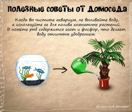 полезные советы по домоводству